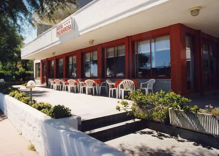 Palmarosa Roseto Degli Abruzzi